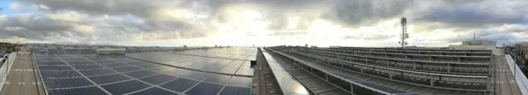 limpieza de línea de vida industrial